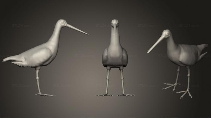 Статуэтки животных (Чернохвостый Годвит, STKJ_0755) 3D модель для ЧПУ станка